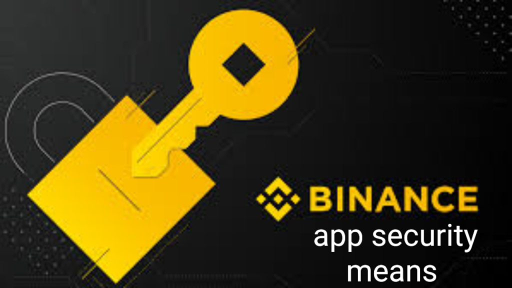 Binance App Security Means  