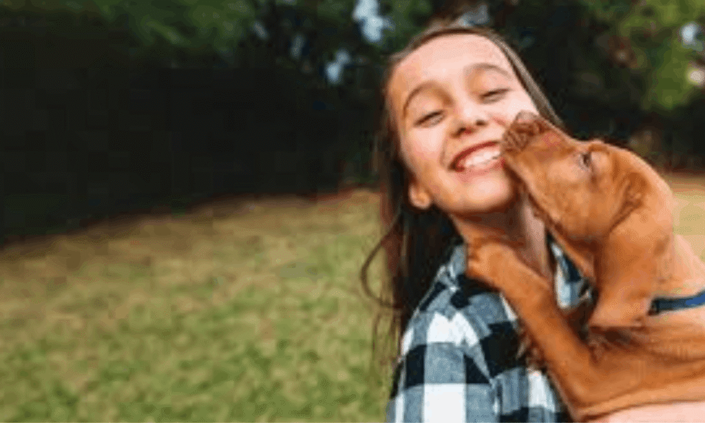 The closing guide to puppy Care Excellence: Insights from Pet5ardas.com